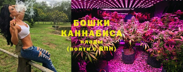 гидра Липки