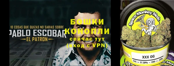 гидра Липки