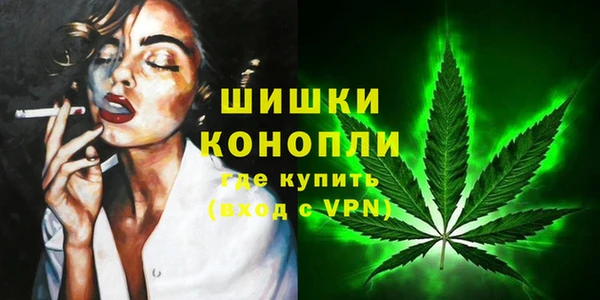 гидра Липки