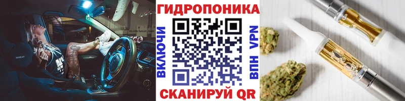 Конопля ГИДРОПОН  Купить  Шали 